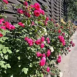 з терасою та коконом з видом на світанок Апартаменти Одеса