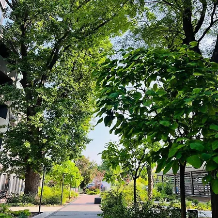 з терасою та коконом з видом на світанок Apartment *