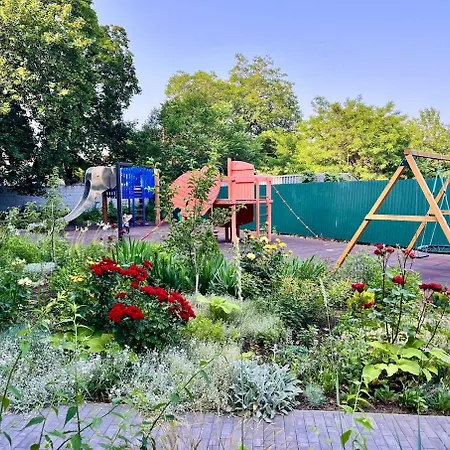 з терасою та коконом з видом на світанок *