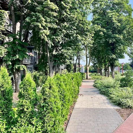 з терасою та коконом з видом на світанок * Odesa