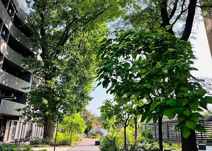 з терасою та коконом з видом на світанок Apartment *