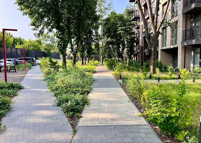 з терасою та коконом з видом на світанок