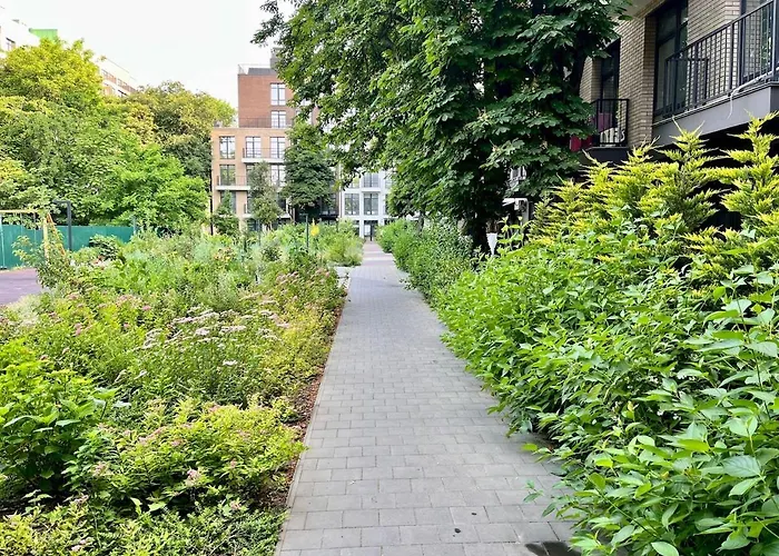 з терасою та коконом з видом на світанок * Odesa