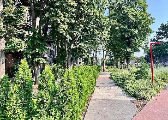 з терасою та коконом з видом на світанок * Odesa